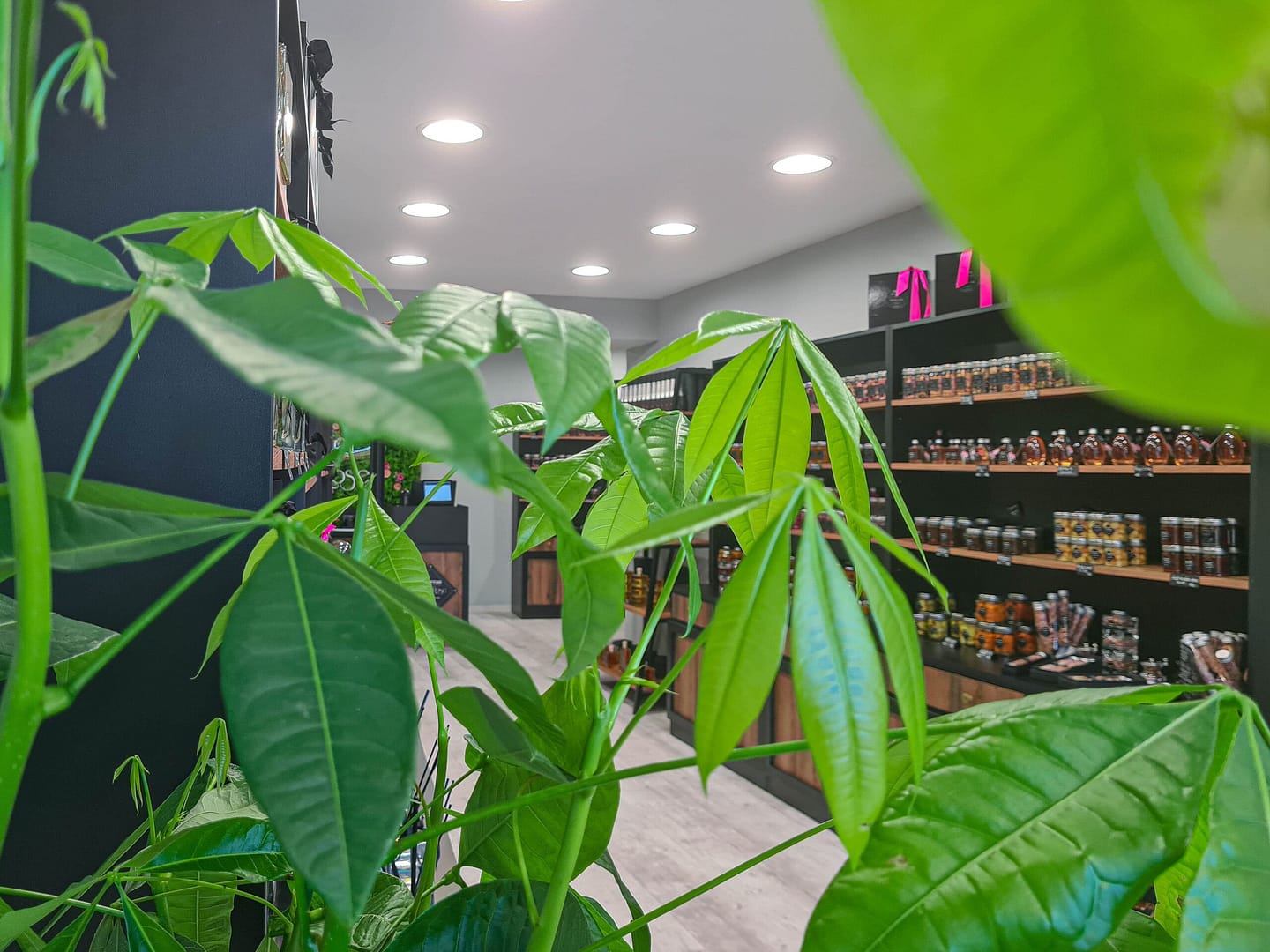 Prise photo et retouches - intérieur magasin Cannes du Comptoir de la Rose par Pierre Fayard