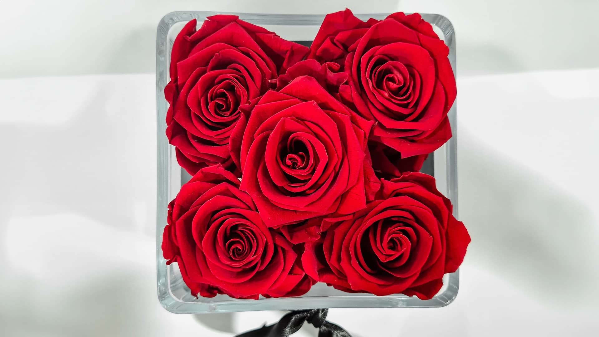 Prise photo et retouches -roses éternelles du Comptoir de la Rose par Pierre Fayard