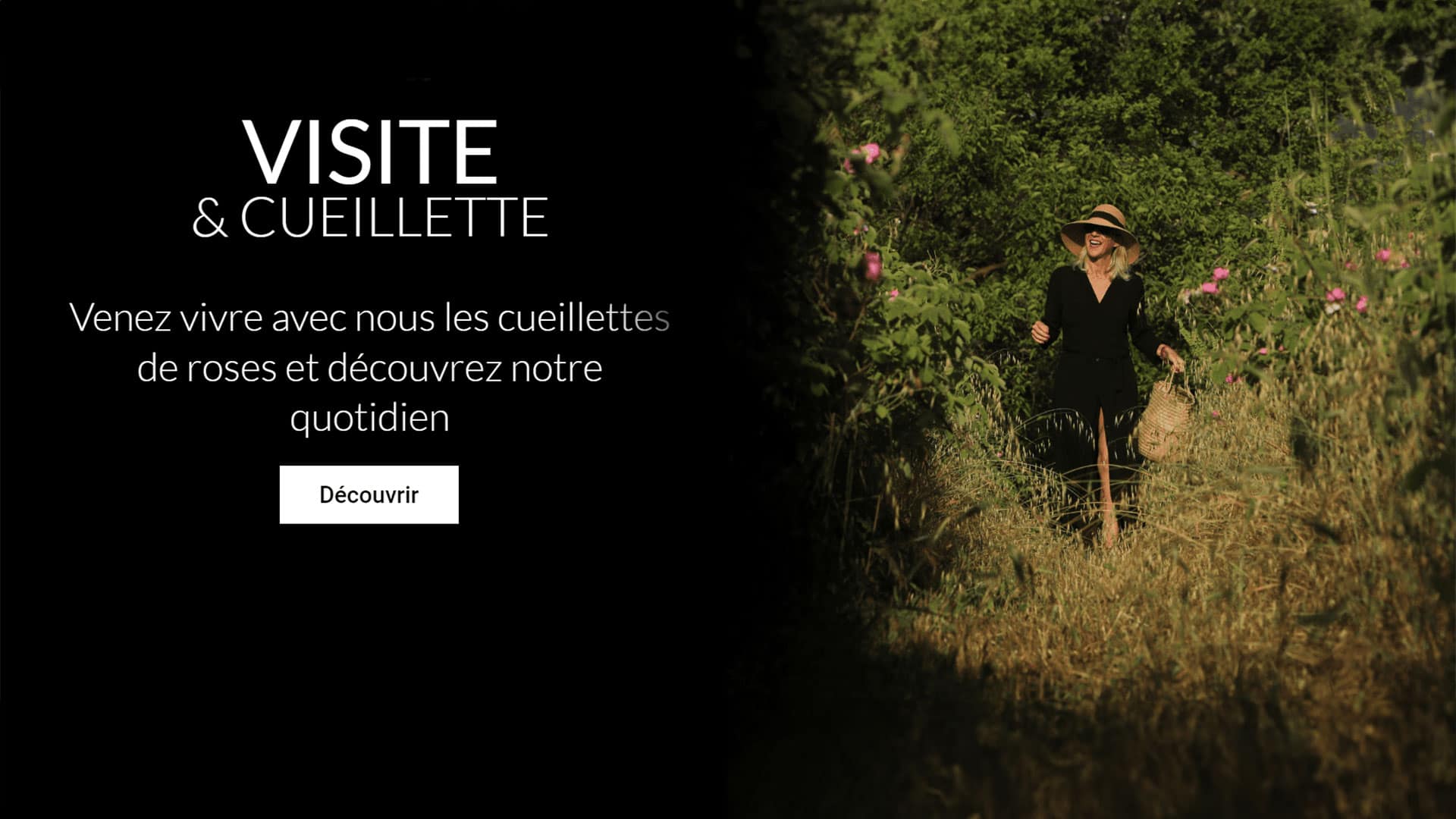 Slider des visites et cueillettes pour le Comptoir de la Rose - Pierre Fayard