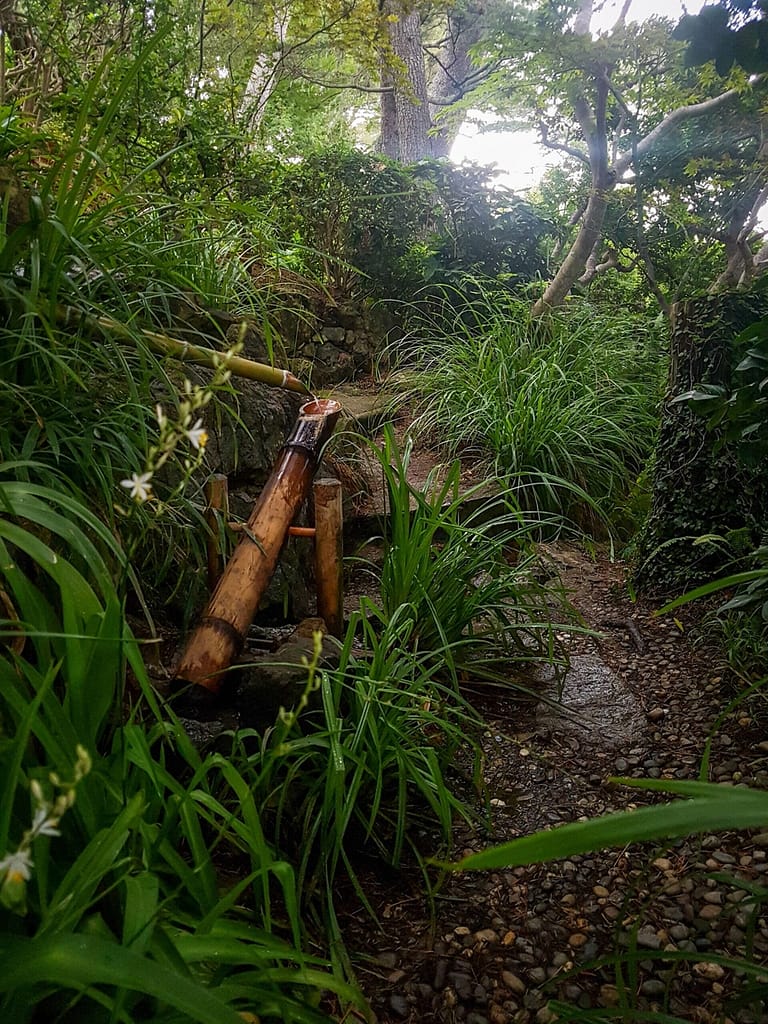 Photo d'un tuyau de bambou japonais à la Villa Ephrussi de Rothschild par Pierre Fayard