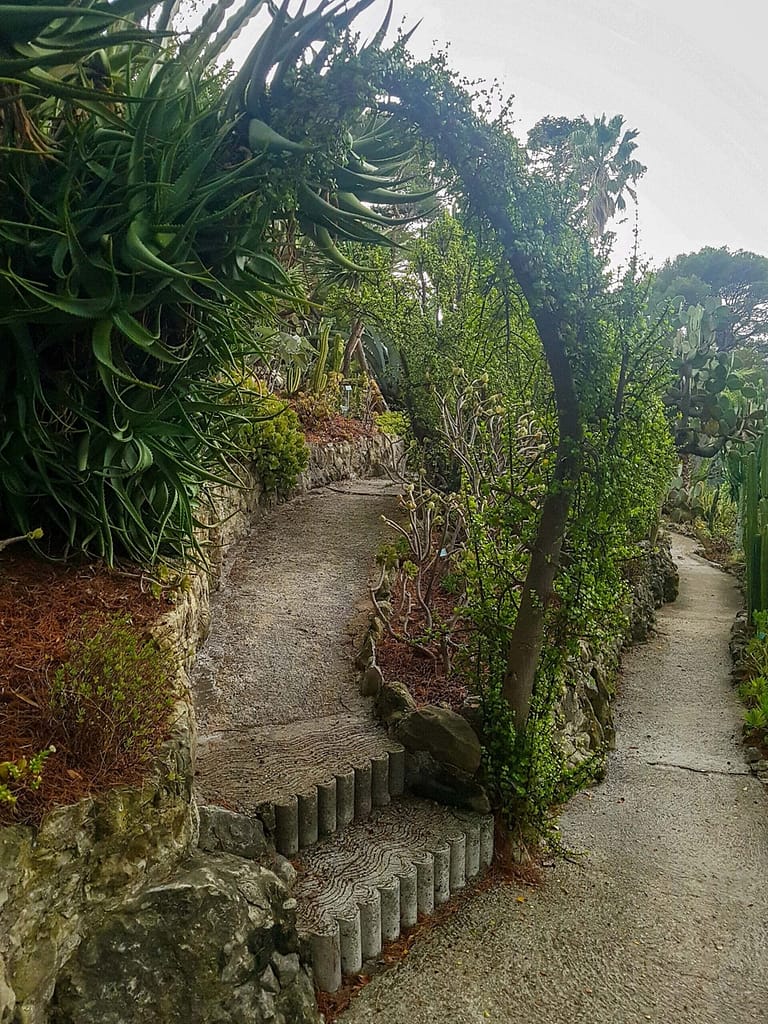 Photo d'une arche végétale des jardins de la Villa Ephrussi de Rothschild par Pierre Fayard